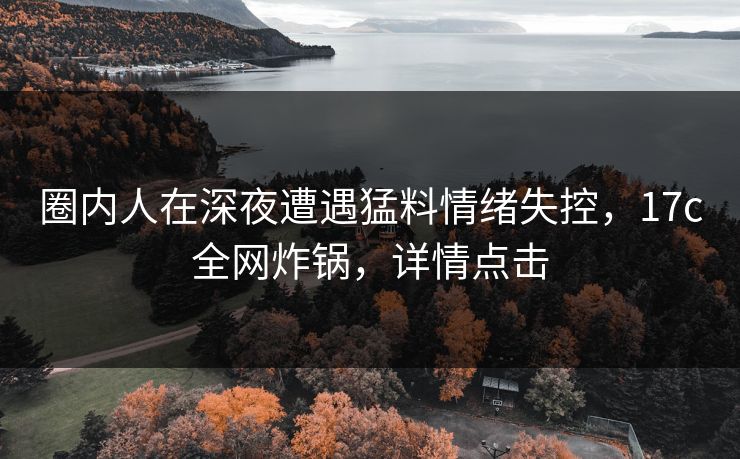 圈内人在深夜遭遇猛料情绪失控，17c全网炸锅，详情点击