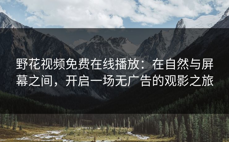 野花视频免费在线播放：在自然与屏幕之间，开启一场无广告的观影之旅